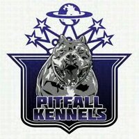 Pitfall Kennels (@pitfallkennels) Twitter profile photo