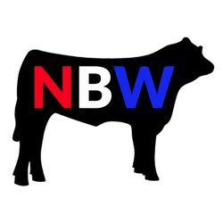 Discover real-time feeder cattle prices with Cattle Market Central and National Beef Wire