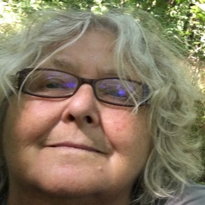 LouiseNinon's profile picture. designer pédagogique - pedagogical designer éducatrice - muséologue - écrivain - #voyageauPaysInformatique