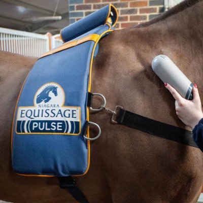 Equissage Agent for Yorkshire and North West