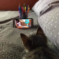 iLayda (@wamprzm) 's Twitter Profile