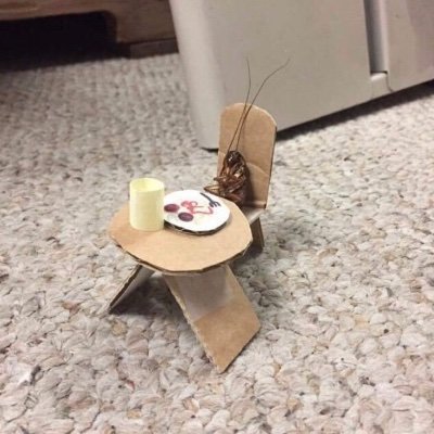 giedre73417191's profile picture. 