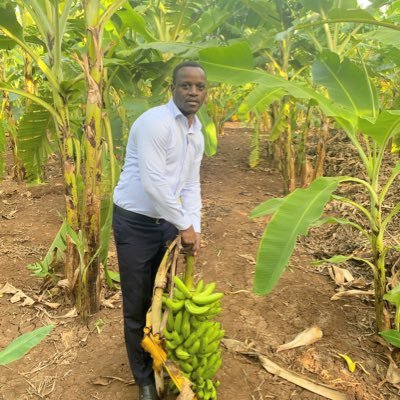Hon Abdullahi olad