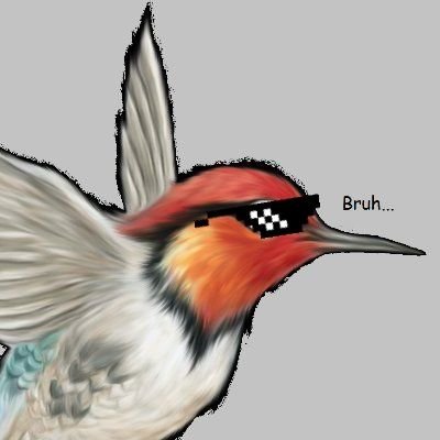 OpinionBirb_'s profile picture. Hi, I am birb the dumbass bird, I am a bird-human who posts my dumb opinion. Nice days and please respect opinions.