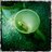 jnet222's profile image