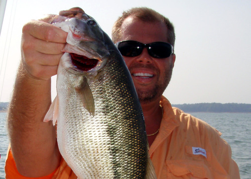 FishGuide's profile picture. God, Family, Friends, Work and Fun