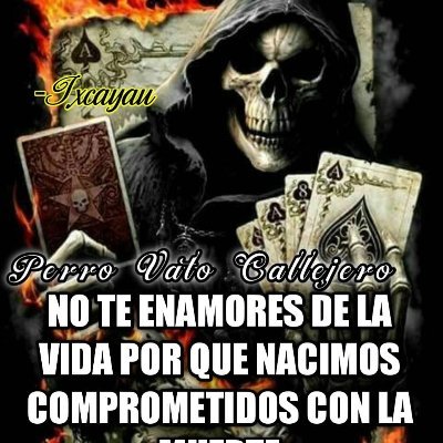 Cryptob01000705's profile picture. #BNB #AVAX