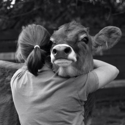 thiscatherineH's profile picture. Politically vegan. Edgy vs. obnoxious. Planet Earth & all Earthlings. Be (kind of) kind. Good trouble. BLM (but not Bureau of Land Management). Humour=good.