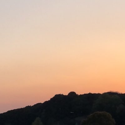 sialky1's profile picture. 成人済/虚空教信者ꘜ/ROF-MAO/無言フォロー失礼いたします