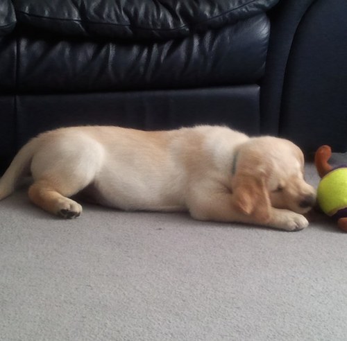 grumpygit67's profile picture. 