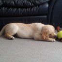 Roy Eldridge - @grumpygit67 - Twitter