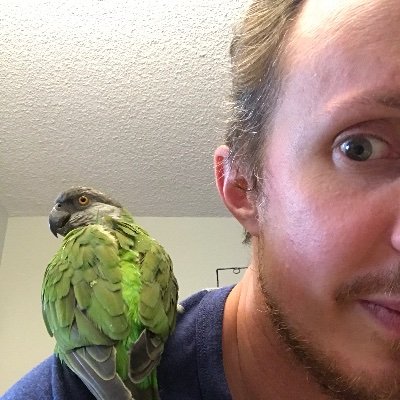 Experimental composer, bird Dad, accountant, fan of Eurasian non-fiction