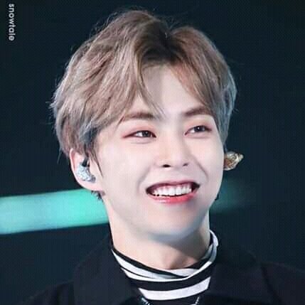 SofiaNi22908568's profile picture. L-1485