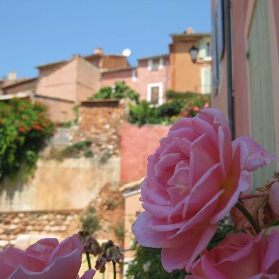 raranami_eng's profile picture. 英語再々勉強中。2020.6月末から勉強開始。 今更と思わず勉強。今度こそ本気の40代。役立つことはまだつぶやけず。前向きと後ろ向きが混在。 目先目標：TOEIC900点、英検準一級 最近やる気出なくてペース落とし気味