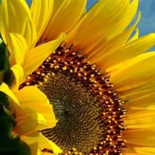 jennbifer's profile picture. It's whatever.