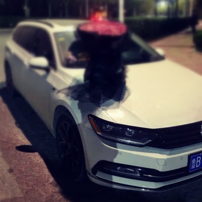 yaphetssssss's profile picture. 