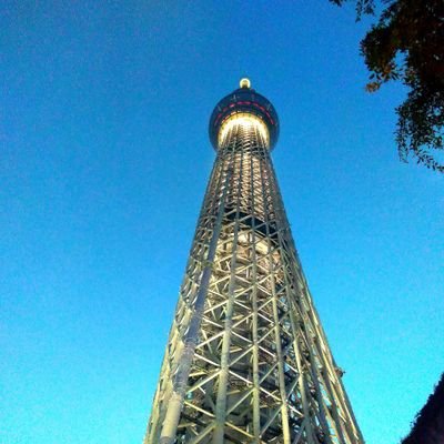 りきまるさんのプロフィール画像