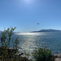 Lisa Schweizer (@llschweizer) 's Twitter Profile
