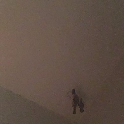 ann_donovan's profile picture. 