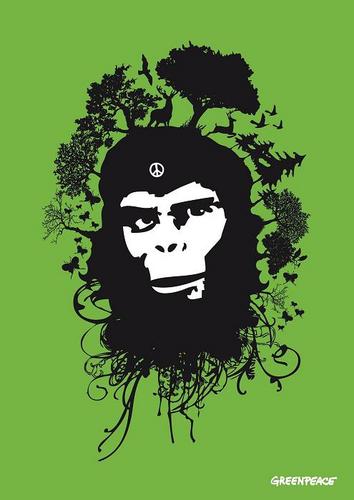 greenincubators's profile picture. A Greenpeace guy desperately looking for social entrepreneurs and doers! We are reviewing all applicants now, and soon we will contact shortlisted candidates!