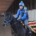 やーしゅん【馬体競馬YouTuber】 (@ya_shun_batai) Twitter profile photo やーしゅん【馬体競馬YouTuber】 (@ya_shun_batai) Twitter profile photo