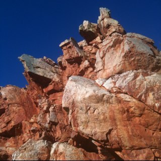 erinbryce's profile picture. 