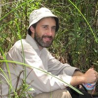 Mark Harrison (@drmark_harrison) 's Twitter Profile Photo Mark Harrison (@drmark_harrison) 's Twitter Profile Photo