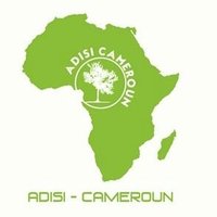 ADISI-Cameroun(@AdisiCameroun) 's Twitter Profile Photo