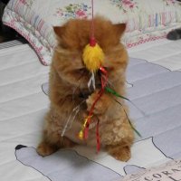 11월. (@shinmilla) 's Twitter Profile Photo 11월. (@shinmilla) 's Twitter Profile Photo