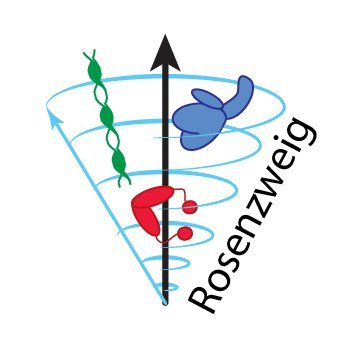 We use advanced NMR, biophysical, and biochemical approaches to study the structure, dynamics, and interactions of molecular chaperones. Ran by group members.