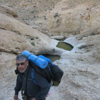 Michael Cohen מיכאל כהן (@n3dh8cdiz4xubx6) 's Twitter Profile