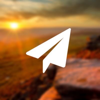 halyeyvivitty's profile picture. 