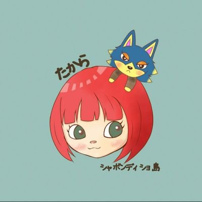 たからさんのプロフィール画像