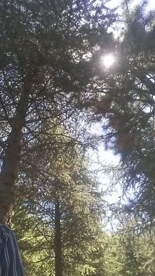 ESdthsg's profile picture. 