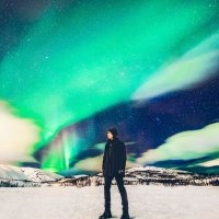 ¥Sharpy¥ (@velementss) 's Twitter Profile