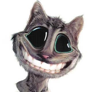 sweetheart876's profile picture. 