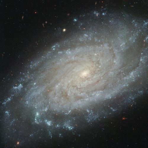 ostrelin9596's profile picture. All shall pass