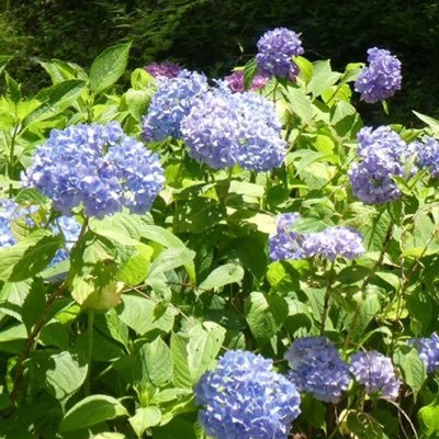 62E4UuKLbI1KCdc's profile picture. 信用できない旦那。 旦那は結婚して3ヶ月で昔のセフレと連絡取り合う。陣痛中にアプリで知り合った女と連絡し合う。若い女が大好きな旦那と離婚するために、可愛い息子を守るために働きます。心の再建築