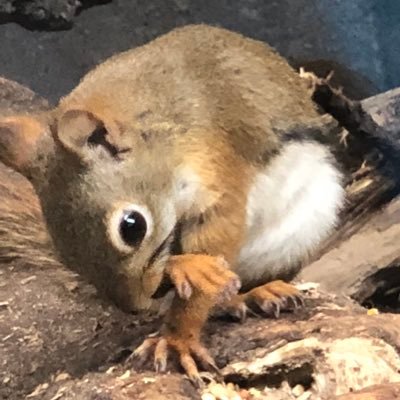 5DAnVl9HLuer4mZ's profile picture. メルカリ しています 服やCD、ゲームなど色々販売しています 良ければ見て行って下さい     #メルカリ