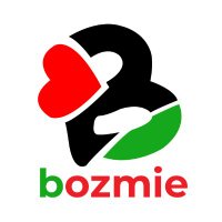 Bozmie Inc.(@BozmieInc) 's Twitter Profile Photo