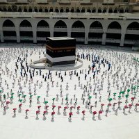 محمد (@mohammad_qaid1) 's Twitter Profile