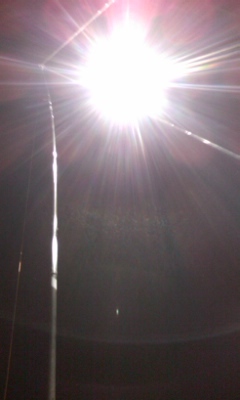 starflicker's profile picture. ルミナル/アリミデックス
ベージニオ継続中