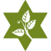 Isabella Freedman (@ifjrc) Twitter profile photo