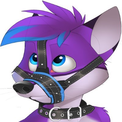 🔞Foxy is a naughty caged pup :3 May contain chastity,bondage,diapers & kinky stuffs.
Telegram:@SRN_261399626
Other:@RedCrinklebutt, @redhusky_cjr