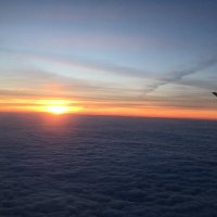 Andy Seal (@andrewj_seal) 's Twitter Profile