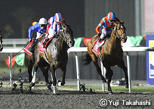 出身地＆居住地：東京都某区／好きなものや事：競馬、格闘技・プロレス・ラグビー、サッカー／好きなＪリーグチーム：大分トリニータ／好きな野球チーム：北海道日本ハムファイターズ