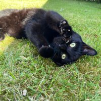 anja ora (@anja_ora) 's Twitter Profile