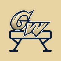 GW Gymnastics(@GW_Gymnastics) 's Twitter Profile Photo