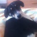 Olga Alonso Ruano - @olgyta2010 - Twitter