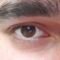 sıradanbirisi (@cemalyamaci52) 's Twitter Profile Photo